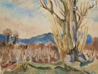 Paysage d'automne dans le midi de la France