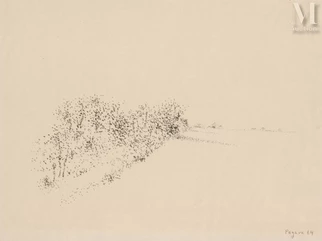 La haie